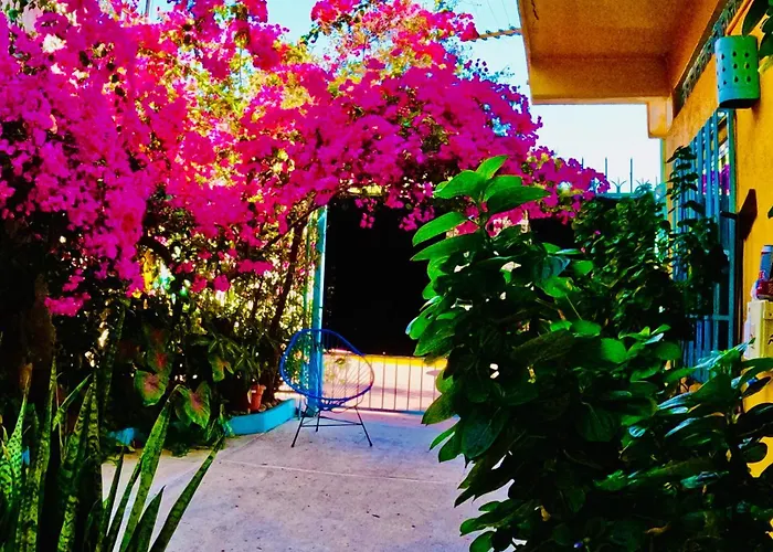 Apartamento Sanka's Casita On Playa La Madera Near Centro